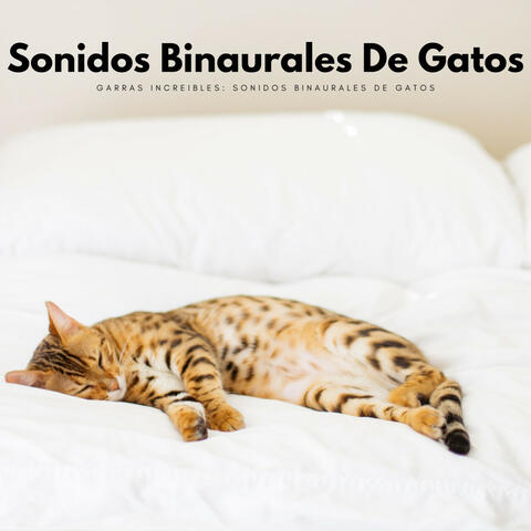 Garras Increibles: Sonidos Binaurales De Gatos