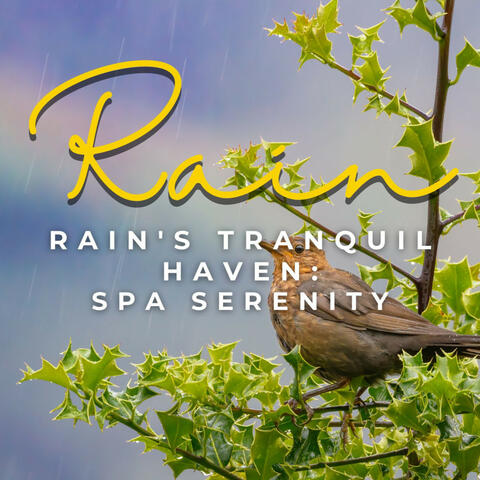 Rain's Tranquil Haven: Spa Serenity