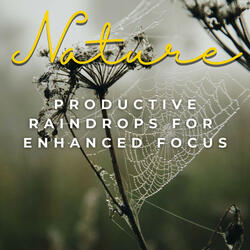 Moonlit Rain for Work Productivity