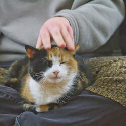 Scratching Posts Invite