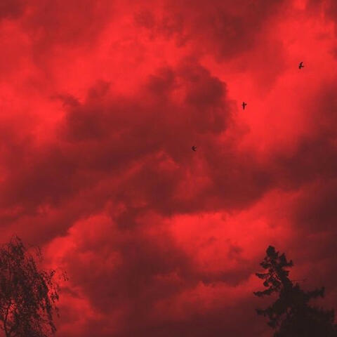 the red planet