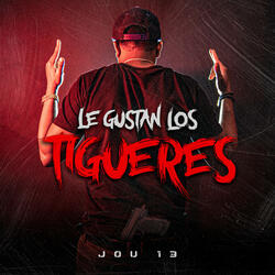 Le Gustan Los Tigueres