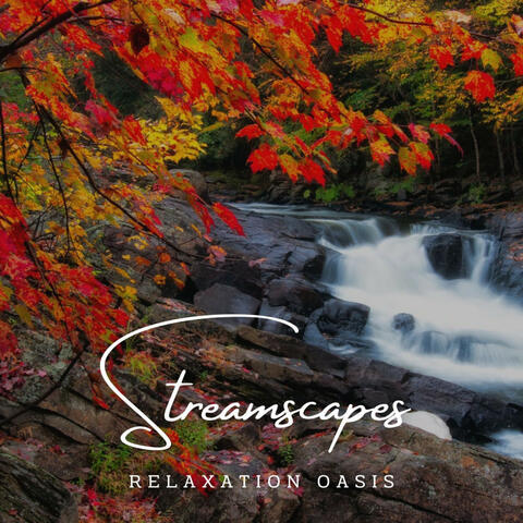 Tranquil Streamscapes: Relaxation Oasis