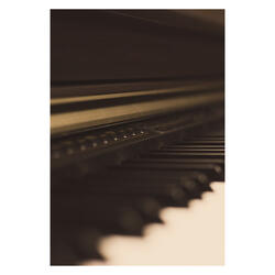 Silent Piano Nightingale