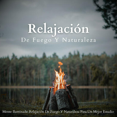 Mente Iluminada: Relajación De Fuego Y Naturaleza Para Un Mejor Estudio