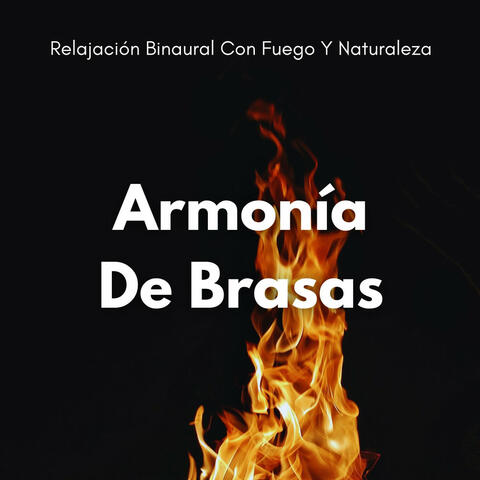 Armonía De Brasas: Relajación Binaural Con Fuego Y Naturaleza