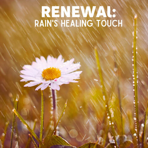 Soothing Rain Mindful Relaxation Vol. 1
