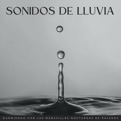 Coro Nocturno Del Jardín Zen