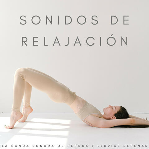 Sonidos De Relajación: La Banda Sonora De Perros Y Lluvias Serenas