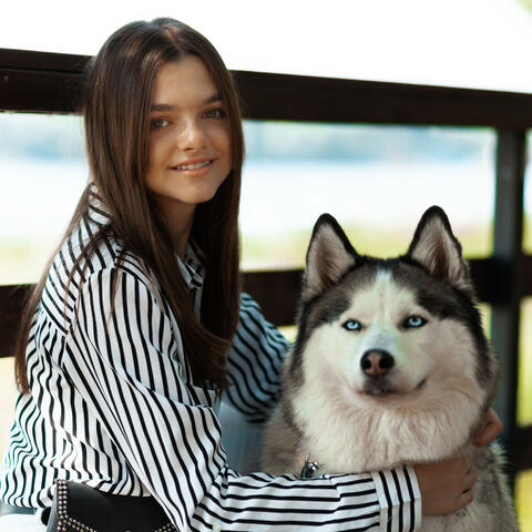 Piano Rain Pet Haven: Paw-fect Resonance