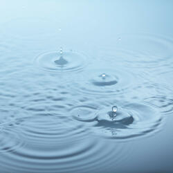 Rain Tranquil Unveiled Invigorates