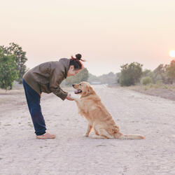 Oasis Piano Rainy Invites