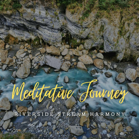 Stream's Meditative Journey: Finding Peace by the Riverside