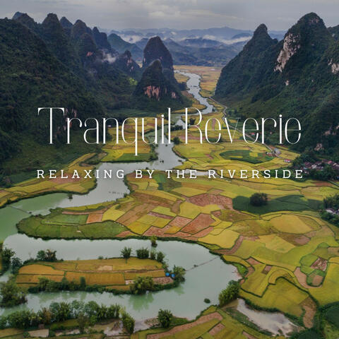 Stream's Tranquil Reverie: Relaxing by the Riverside