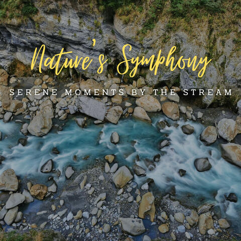 Stream's Nature's Symphony: Riverside Harmony