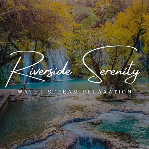 Riverside Serenity: Water Stream Relaxation