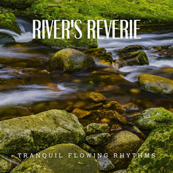 Harmony with Nature's Flow