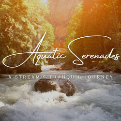Enchanted Stream's Tale