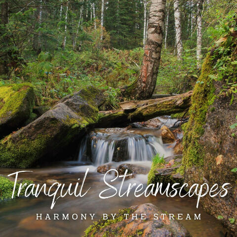 Tranquil Streamscapes: Relaxing Waterscapes