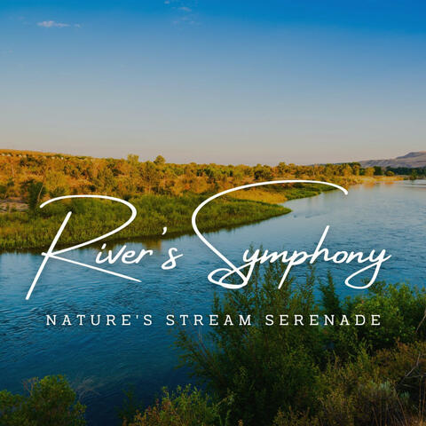 River's Symphony: Nature's Stream Serenade