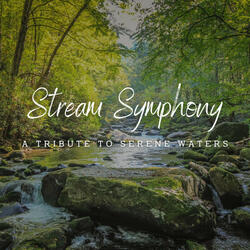 Mystical Stream's Connection to Earth