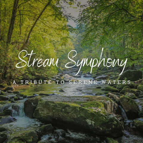 Nature's Stream Symphony: A Tribute to Serene Waters