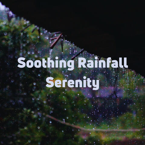 Soothing Rainfall Serenity