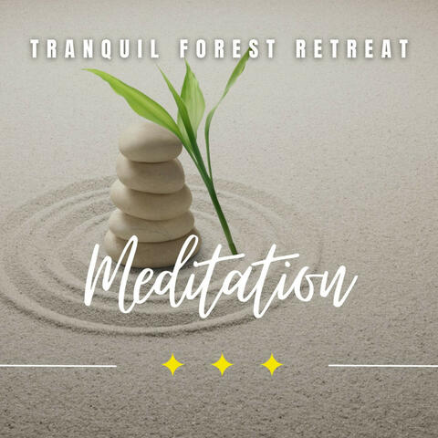 Tranquil Forest Retreat: Spa in Nature's Embrace
