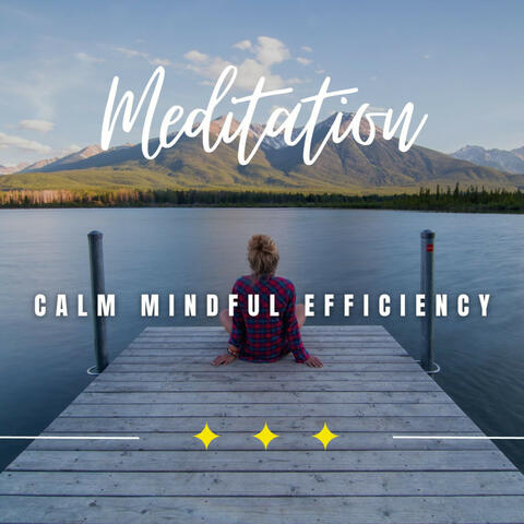 Calm Mindful Efficiency: Work with Serenity
