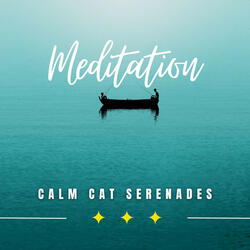 Peaceful Purr and Rest