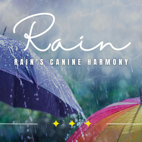 Rain's Canine Harmony: Serene Soundscapes for Dogs