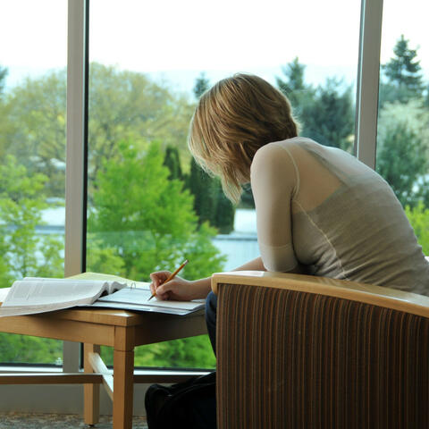 Rainy Study Flow: Ambient Focus Journey