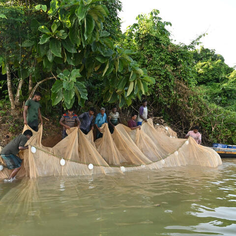 Water's Ambient Embrace: Productive Work