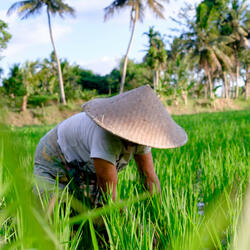 Conference Calls Under Clouds
