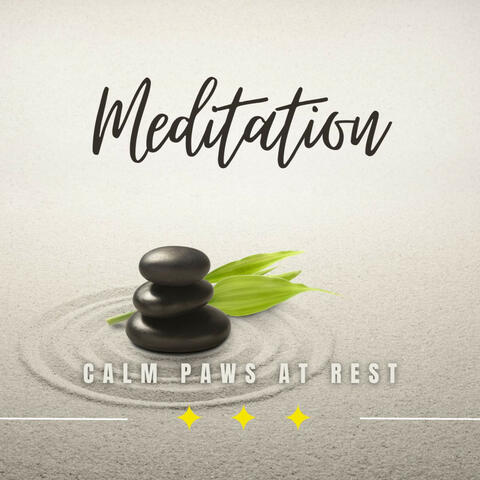 Calm Paws at Rest: Meditative Moments for Dogs