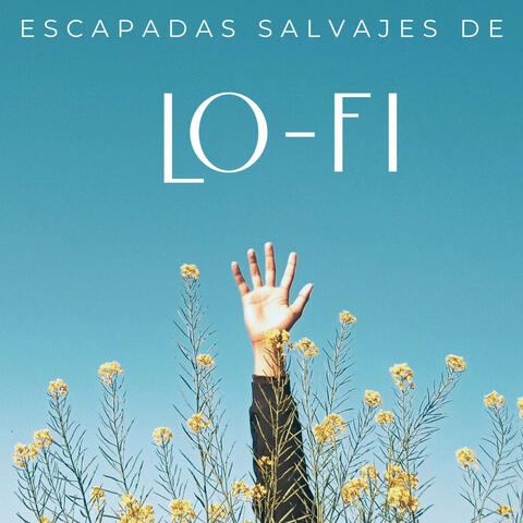 Escapadas Salvajes De Lofi