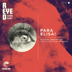 Para Elisa!