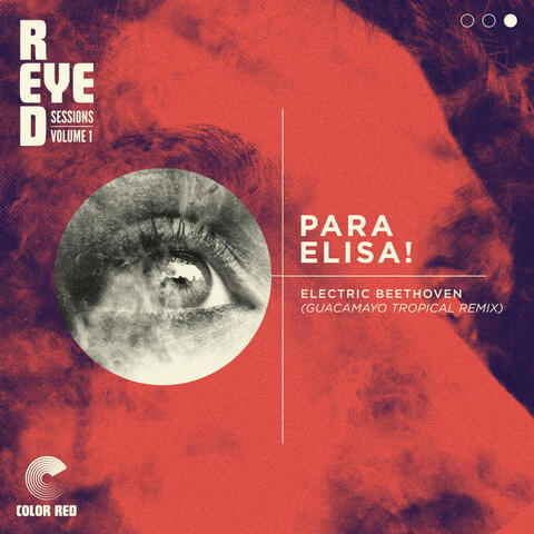 Para Elisa!