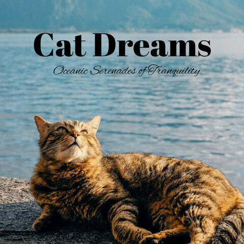 Cat Dreams: Oceanic Serenades of Tranquility