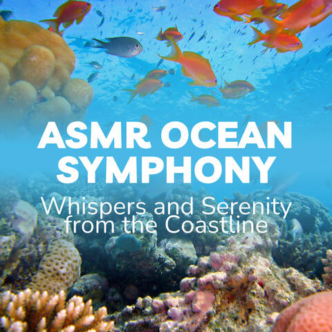 ASMR Ocean Symphony: Whispers and Serenity from the Coastline