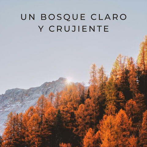 Un Bosque Claro Y Crujiente