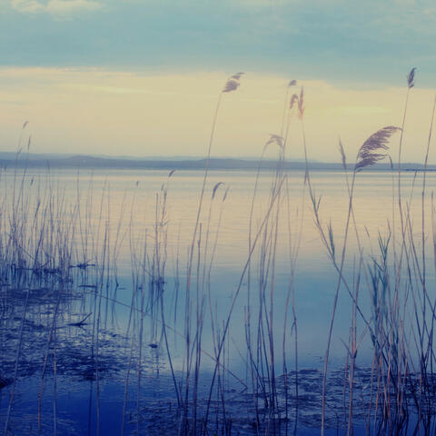 River's Edge: ASMR and Mindful Meditation
