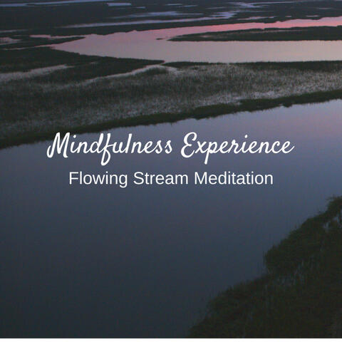 Mindfulness Experience: Flowing Stream Meditation