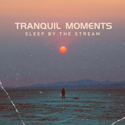 Tranquil Moments: Sleep by the Stream