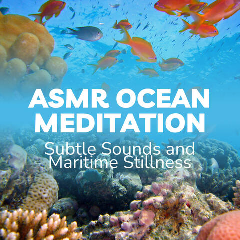 ASMR Ocean Meditation: Subtle Sounds and Maritime Stillness
