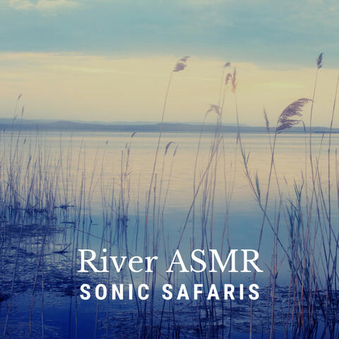 River ASMR: Sonic Safaris