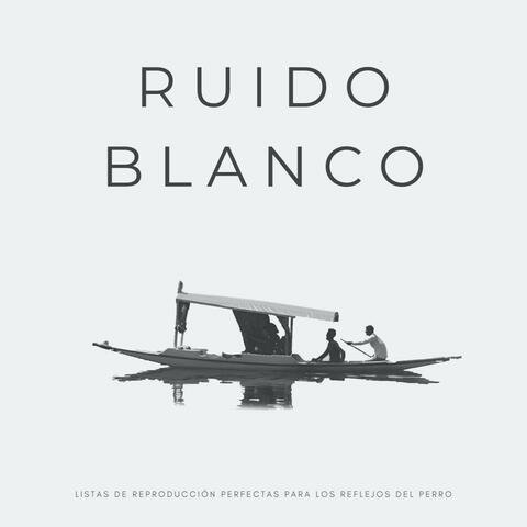 Ruido Blanco: Listas De Reproducción Perfectas Para Los Reflejos Del Perro
