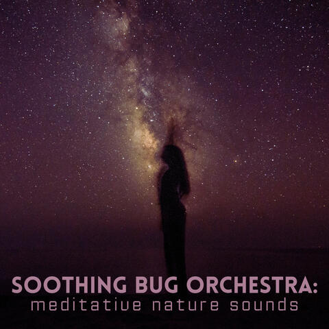 Soothing Bug Orchestra: Meditative Nature Sounds