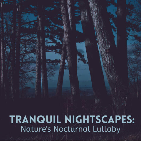 Tranquil Nightscapes: Nature's Nocturnal Lullaby