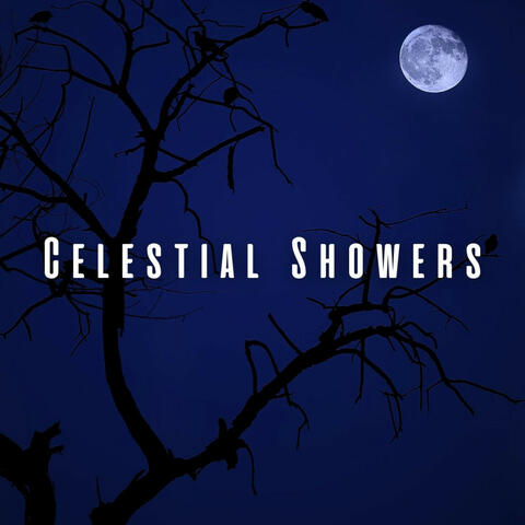 Celestial Showers: Sleep Sounds of Heavy Rain and Birds